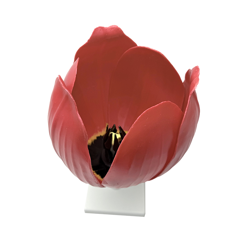School pagtuturo yujin mabangong bulaklak modelo
