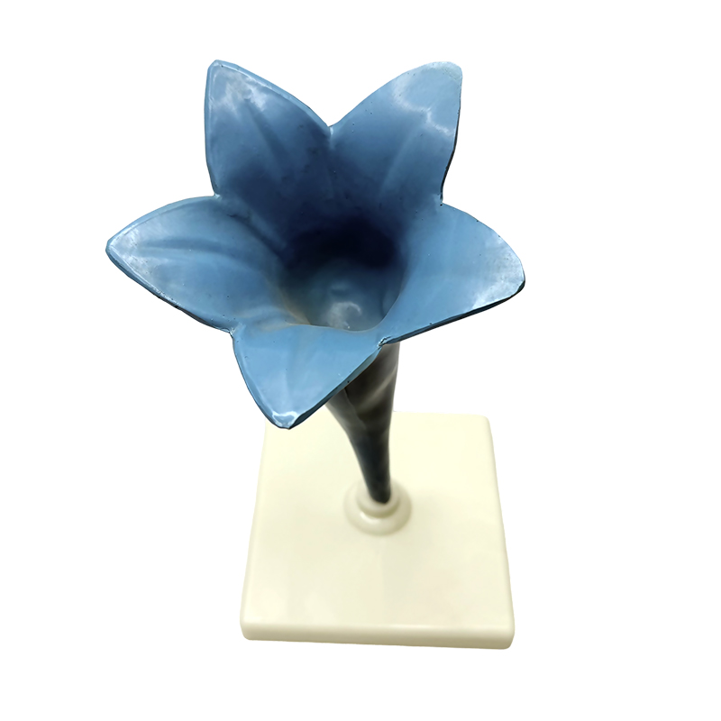 School pagtuturo yujin mabangong bulaklak modelo
