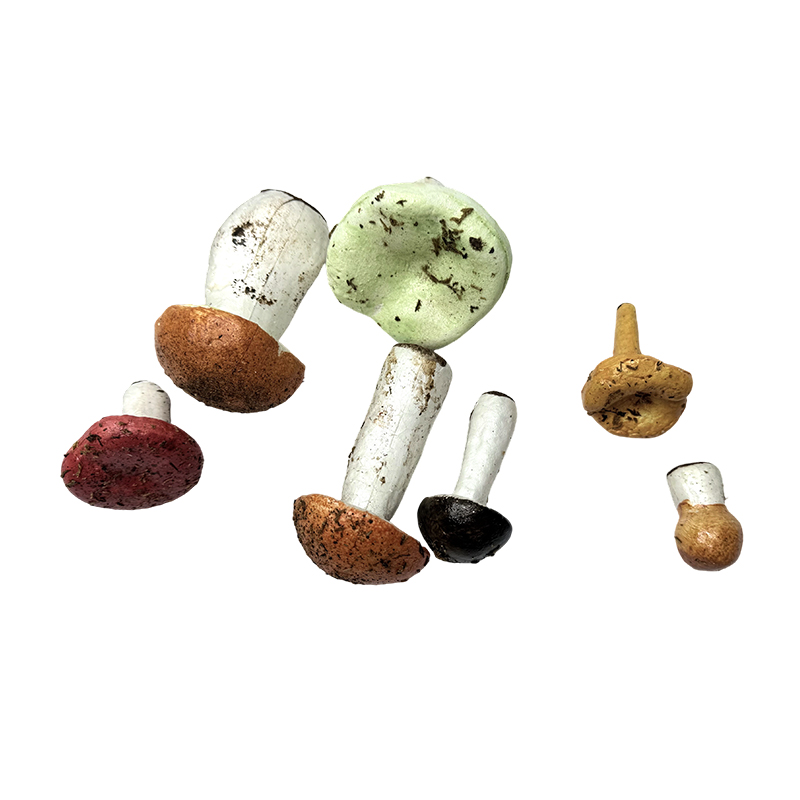Kagamitang pang-edukasyon sa pagtuturo simulation mushroom ornament