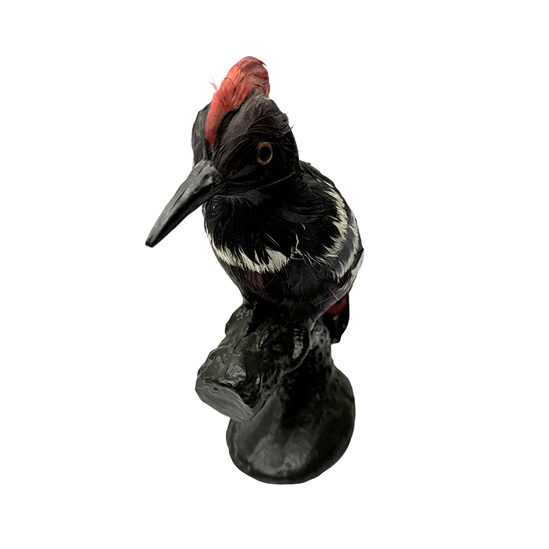 Animal simulation model kagamitang pang-edukasyon woodpecker model specimen