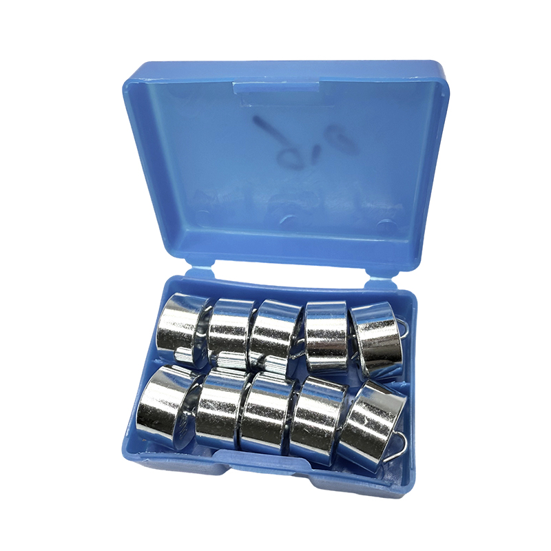 Educational hooked weight set 50gx10PCS/school physics lab instrument science experiment at teaching kit